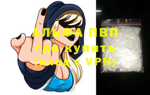 ешки Богданович