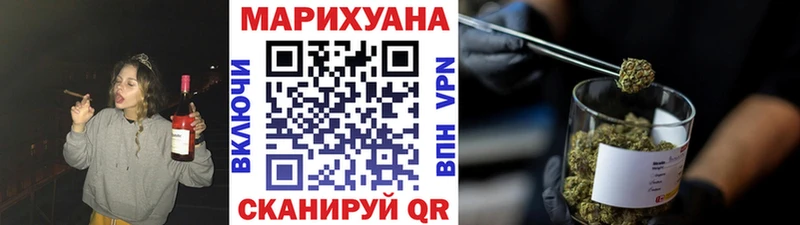 Бошки Шишки план Павловск